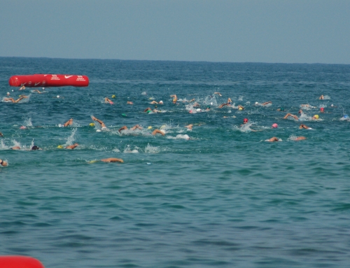 שחייה במים פתוחים / אסף לב