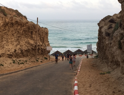 פעילות ספורטיבית, לימודים, הקשבה והתמדה / אסף לב