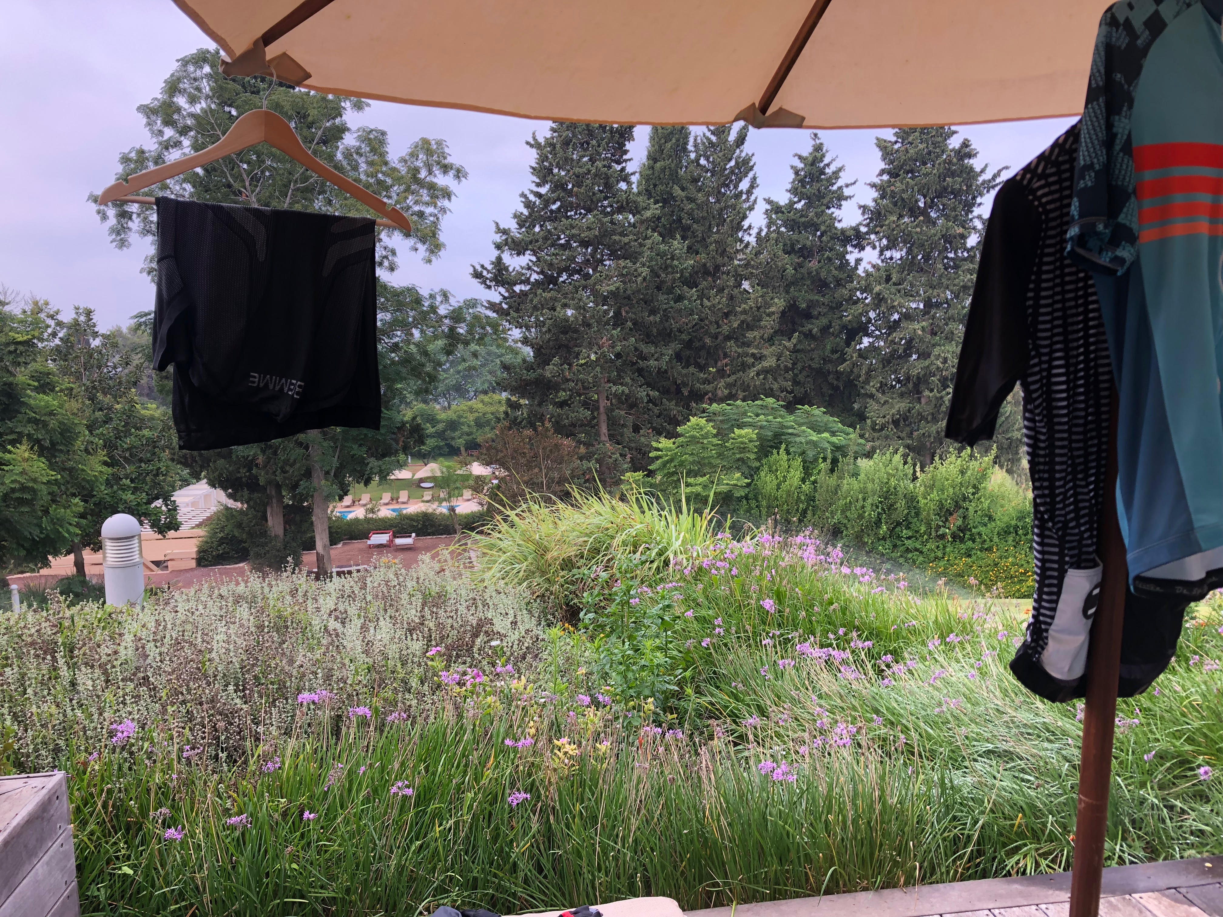 יערות הכרמל