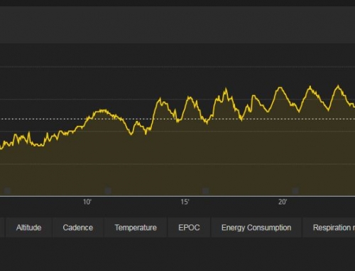 אימון מנטלי – תחרויות, מחשבות ודיוק יכולות / אסף לב