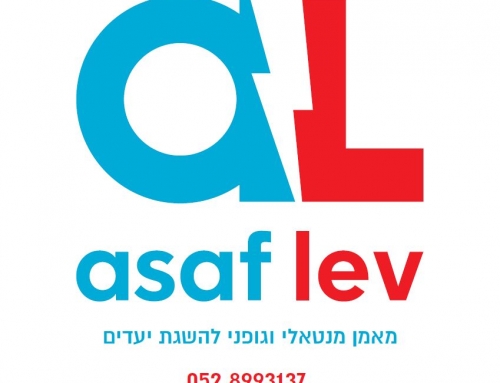 ניקוי אביב / כבד – אסף לב