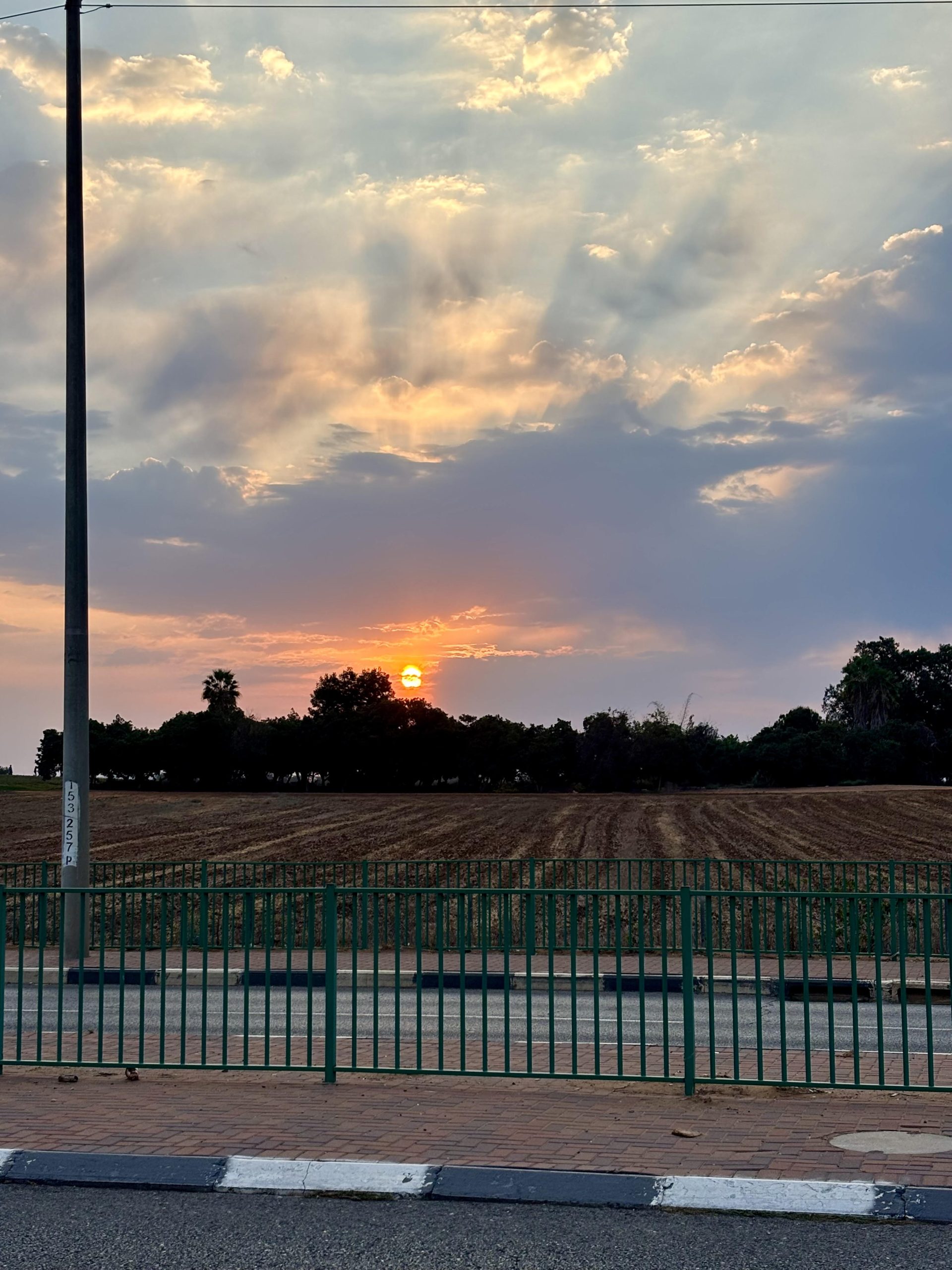 קבוצת ריצה בכפר - סבא: "רצים עם אסף" - קבוצת ריצה מוקדם בבוקר מועדון 5 בבוקר לפעילות גופנית: אימון אישי, זוגי או קבוצתי - אסף לב