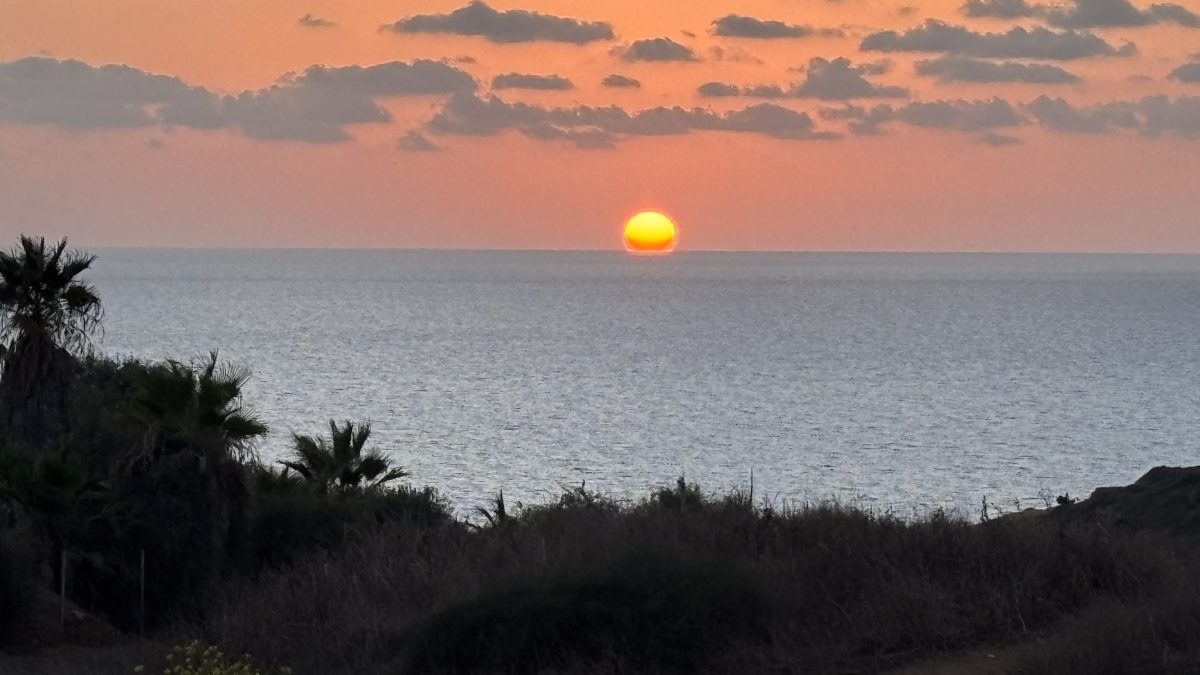 חינוך ! הכי חשוב ! בכל גיל ולכל אחד. אסף לב: אימון מנטאלי וגופני