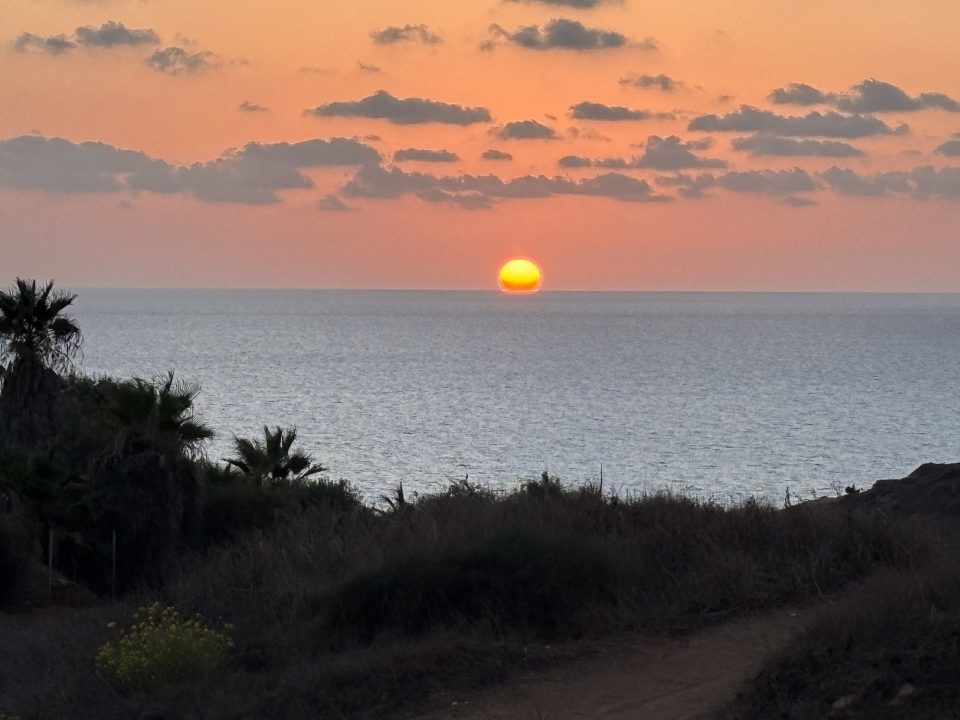 חינוך ! הכי חשוב ! בכל גיל ולכל אחד. אסף לב: אימון מנטאלי וגופני