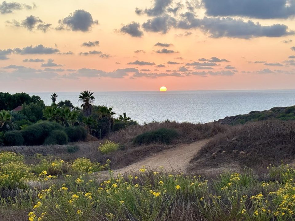 אסף לב - אימון מנטאלי וגופני