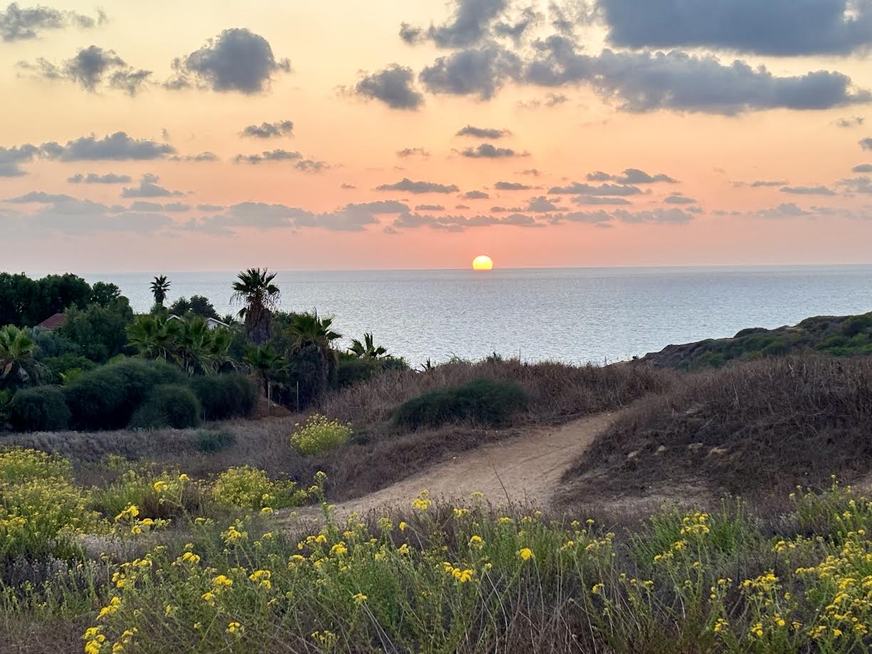 אסף לב - אימון מנטאלי וגופני