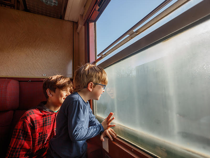 ילדים מתבוננים ולומדים להבין את העולם